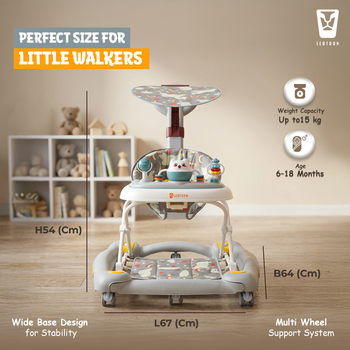 2-in-1 Celeste Baby Walker Cum Rocker