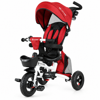 Mini Rider Trike