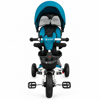 Mini Rider Trike